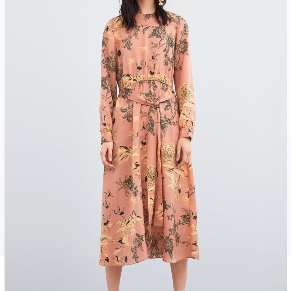 Zara Print Dress - Picture 1 of 8